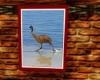 emu running on beach