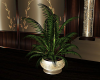 BUSINESS POTTED PLANT