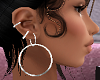 Hoop Earrings +2