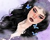 🦋 fairy 🦋