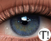 T! Beauty Eyes 1