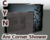 Ani Corner Shower