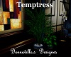 temptress plant