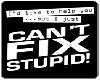 Cant Fix Stupid