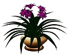 PC Purple Plant