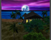 romantic moonlight beach