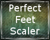 Perfect Feet Scaler