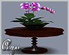 Antique Table w Orchids