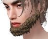 Beards Derivable 03