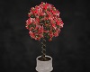 Potted Tree