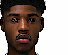ASTERI JAY HEAD 19 SKIN