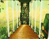 PATTYS PHOTO ROOM