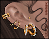 H!Gold Earrings Set [HM]
