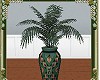 Large potted fern