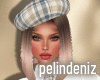 [P] Some plaid bundle