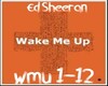 Ed Sheeran Wake me up