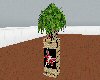 Eagel Nest  Pedestal