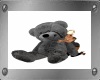 Cuddle Teddy*