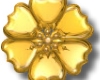 *SD Golden Flower