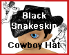 Black Snakeskin Cowboy H