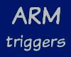 254 Arm Triggers