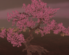 BR Sakura Big Tree