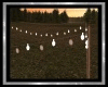 Camping Lights