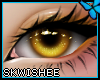🦋| Ashlie Eyes