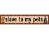 Slave To My Pets