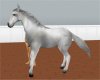 [X]White Rideable Horse