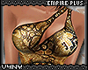 V4NY|Empire Plus