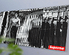 金 Bruce Lee