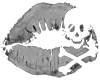 Transparent Skull Kiss