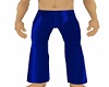 [V1a] Blue Pants