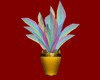 colour plant