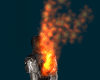 Animated Torso Fire