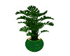 -Syn- Green Plant 1
