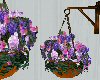 Hanging flowers purple