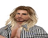 Blonde Hightlight