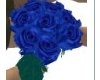 deep blue roses