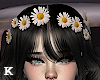 Daisy Flower Crown