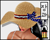 >USA Beach Hat