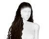 JC BROWN CURLS