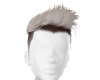 Cam Ash