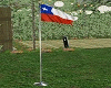 Bandera  Chilena Animada