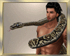 Snake Anim. M/F
