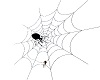 spider web poses1