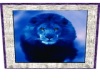 Blue Lion Utube Frame