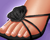 Mady Heels