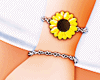 𝐼𝑧.SunFlower